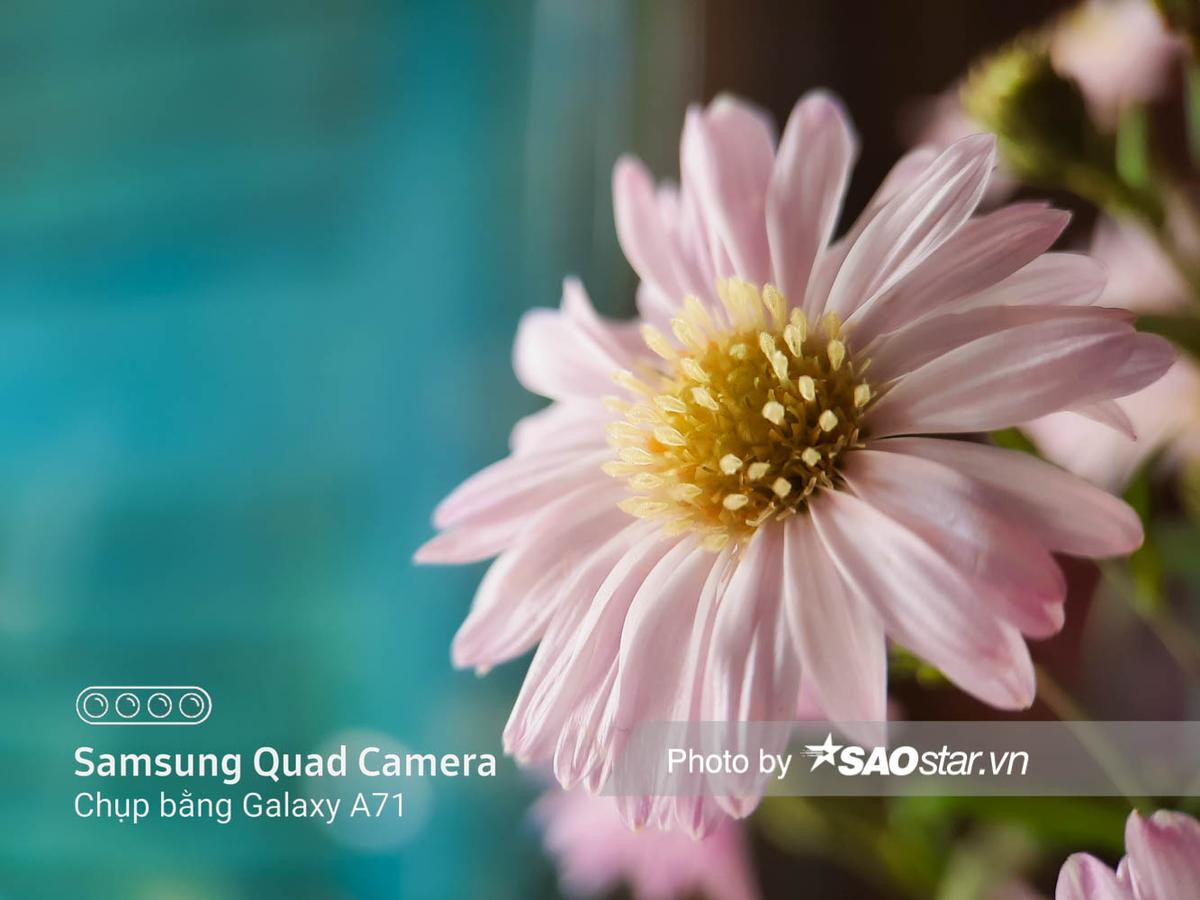 Đánh giá nhanh Galaxy A71: Camera macro siêu ấn tượng, hiệu năng đủ 'xịn xò' với con chip Snapdragon 730 Ảnh 4