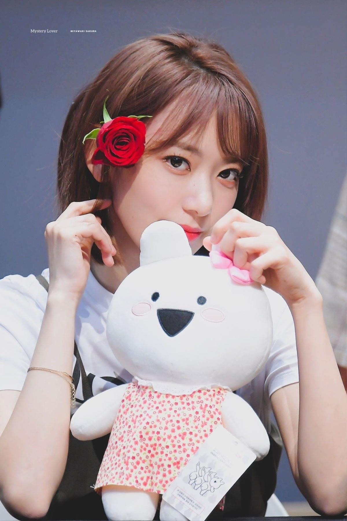 Tin vui nối tiếp tin vui dành cho IZ*ONE: Sakura sẽ sớm trở lại với vai trò DJ trong chương trình Radio của mình Ảnh 6