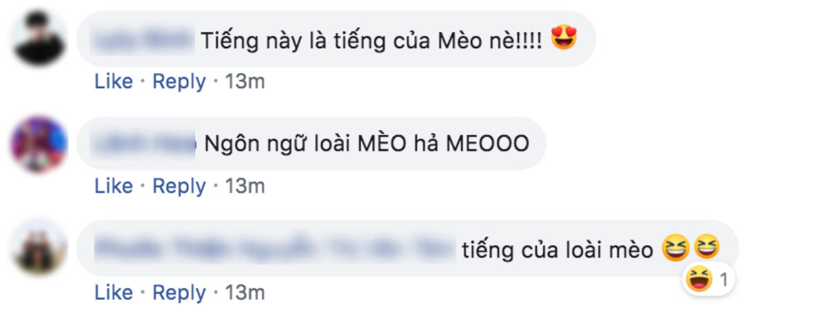 Jack ngẫu hứng sáng tác bài mới giữa đêm nhưng lần này lại hát ngôn ngữ gì thế kia? Ảnh 1