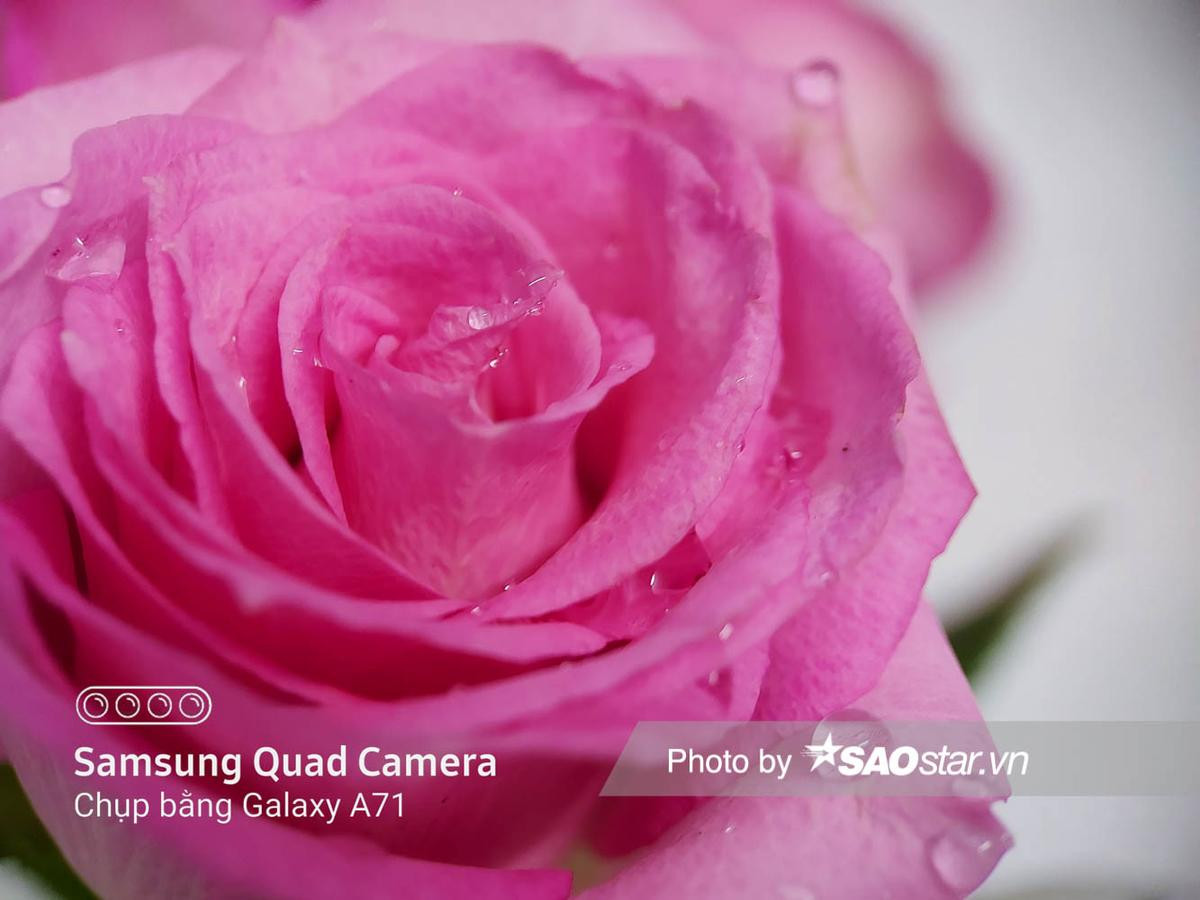 Trải nghiệm chụp ảnh trên Galaxy A71: Khi số lượng camera đi cùng chất lượng! Ảnh 7