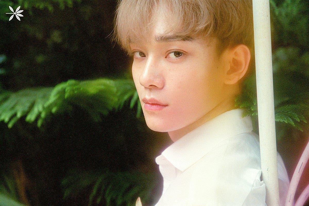 Chen (EXO) gửi tâm thư đến fan sau khi kết hôn và có con, cư dân mạng nói gì? Ảnh 3