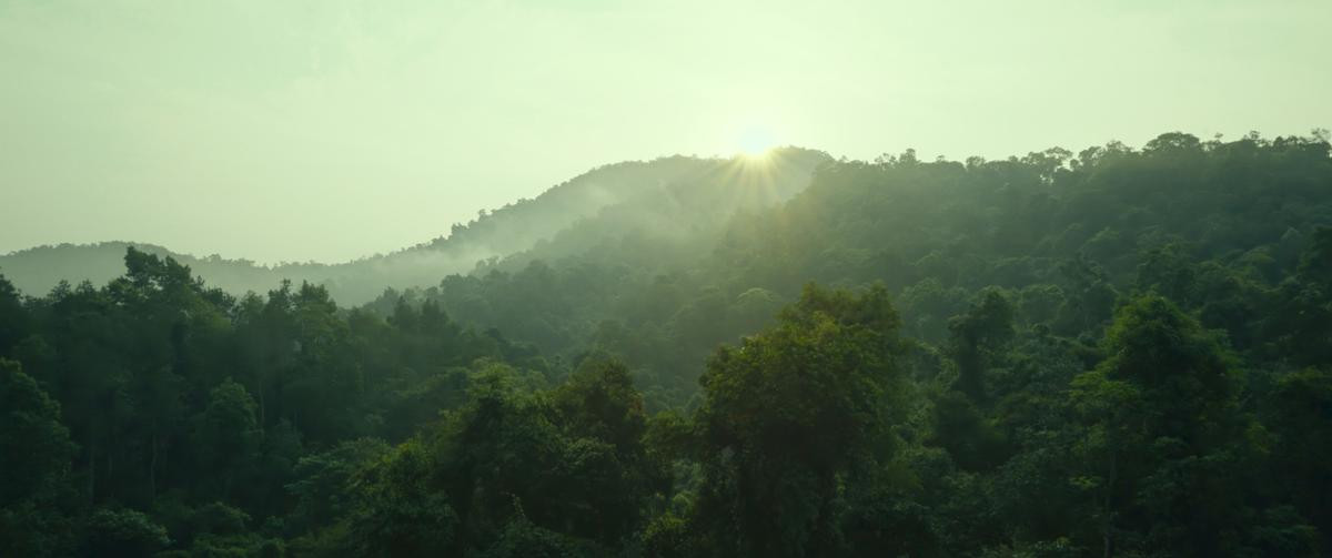 'Truyền thuyết về Quán Tiên' tung trailer rùng rợn, ám ảnh với câu chuyện thiếu nữ bị bắt làm vợ khỉ Ảnh 19