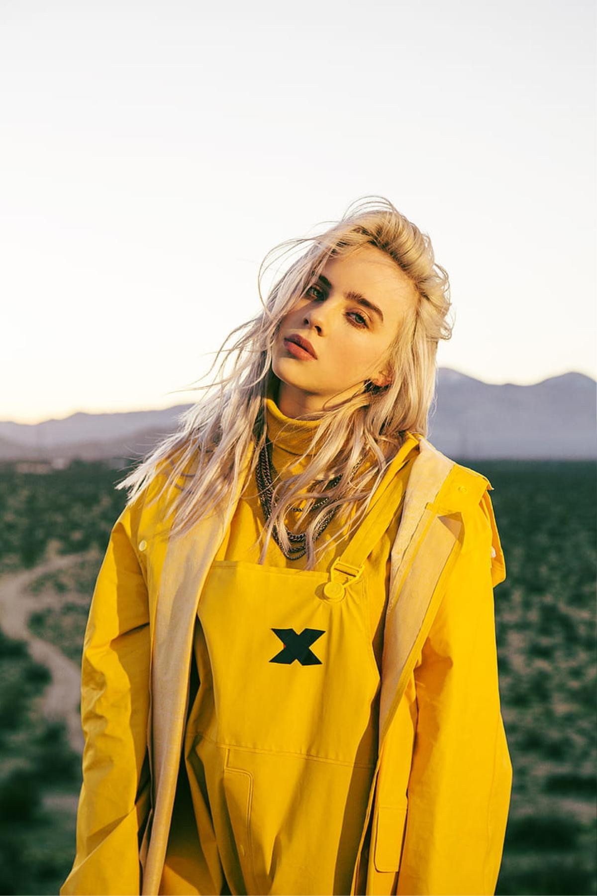 Đánh dấu tuần thứ 10 liên tiếp xuất hiện trên No.1, Billie Eilish chính thức trên đà soán ngôi Adele và trở thành người thứ 9 có thể làm được điều này… Ảnh 7