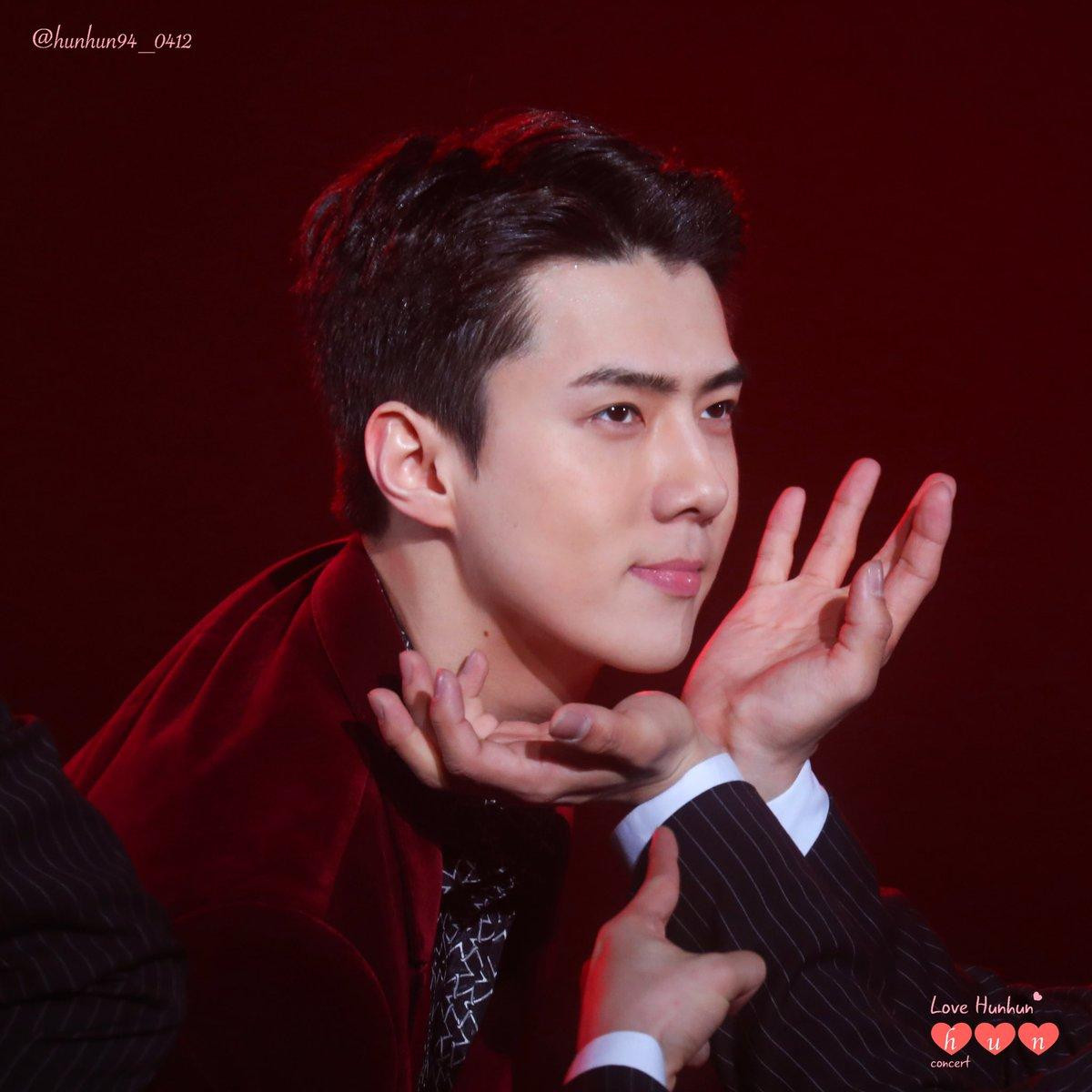 Fan trầm trồ khi Sehun còn tham gia concert EXO EXplOration với một vai trò đặc biệt Ảnh 6