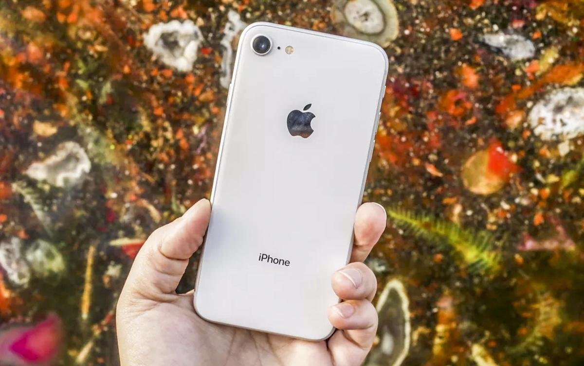 Bất ngờ lớn về chiếc iPhone giá rẻ mà Apple trình làng trong năm 2020 vừa được tiết lộ Ảnh 2