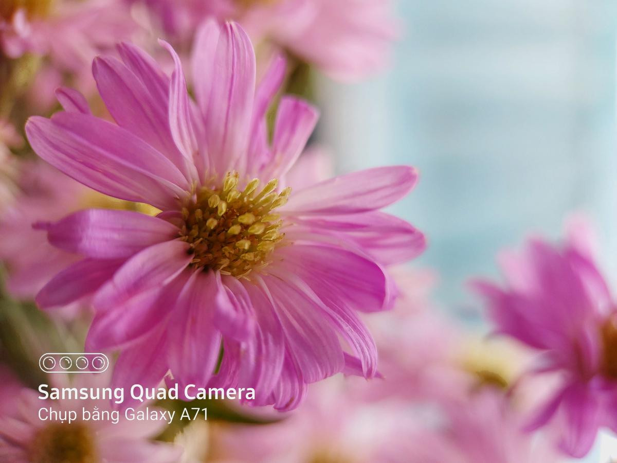 Đánh giá chi tiết 'tân binh' tầm trung Galaxy A71: Điểm nhấn ở camera! Ảnh 11