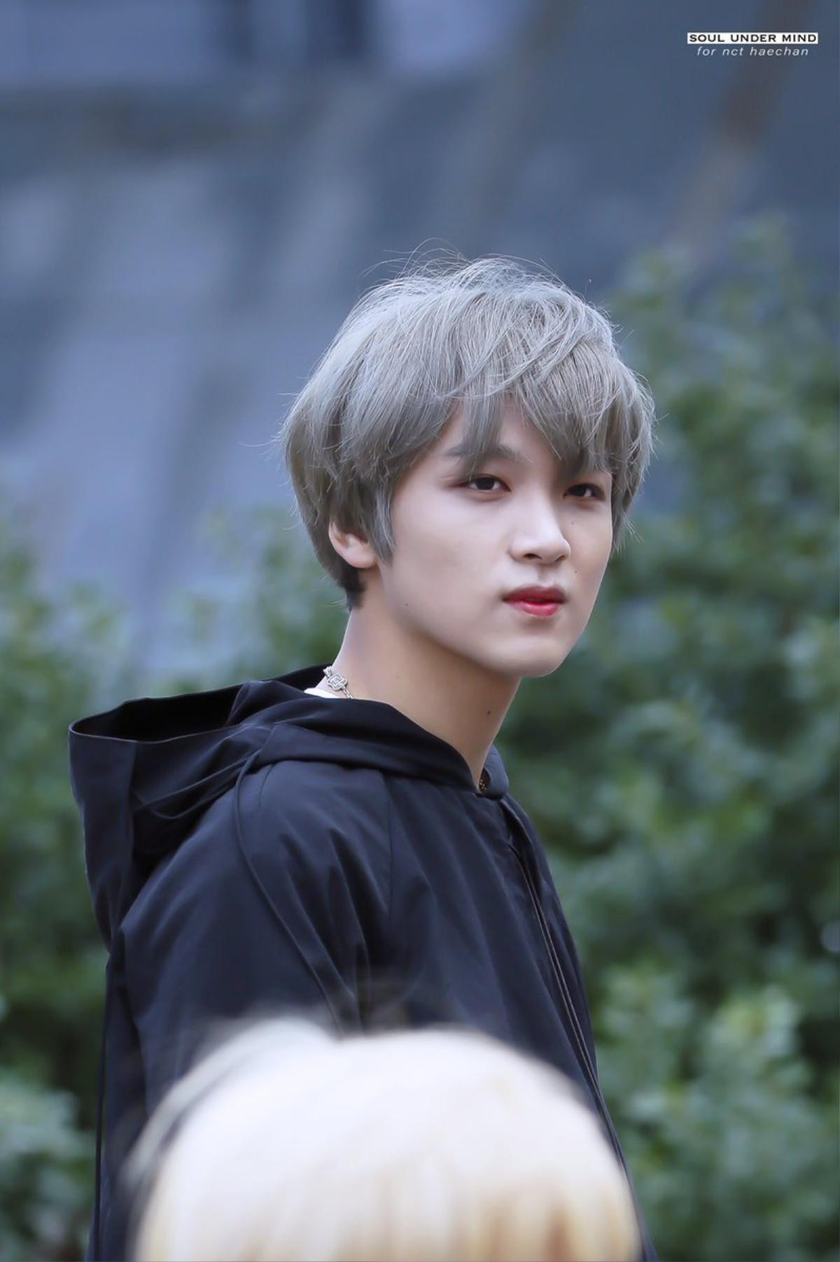 Nhân viên bảo vệ chửi rủa Haechan (NCT), lộ thông tin cá nhân và 'cà khịa' Super M: Knet nói gì? Ảnh 9