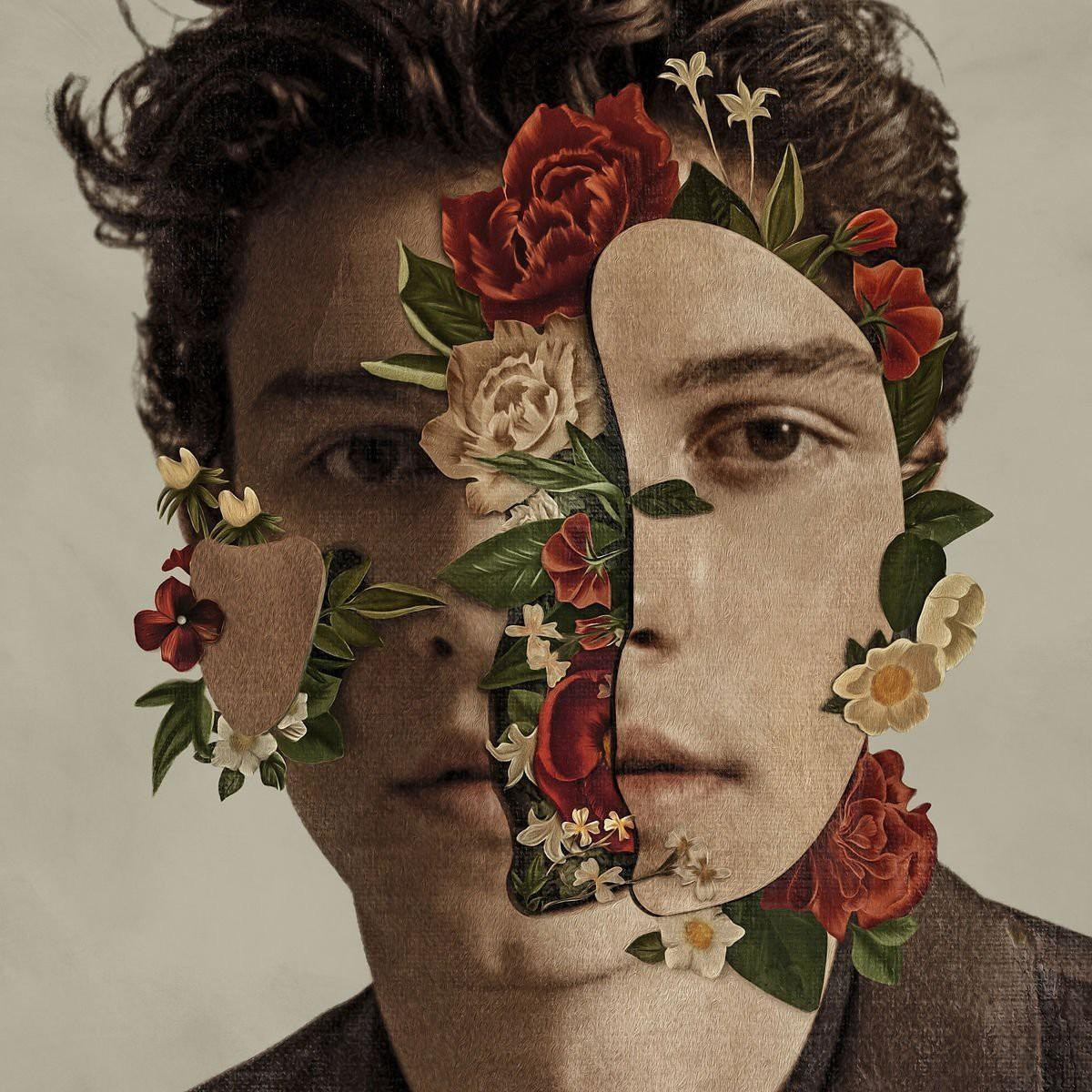 Shawn Mendes xác nhận sẽ biến mất khỏi làng giải trí một thời gian để chuẩn bị cho điều đặc biệt này