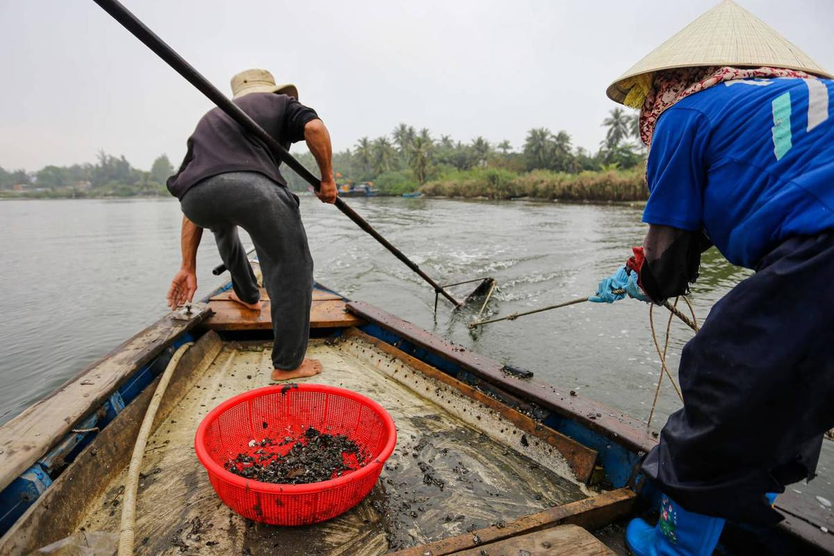 Cào sò thu tiền triệu