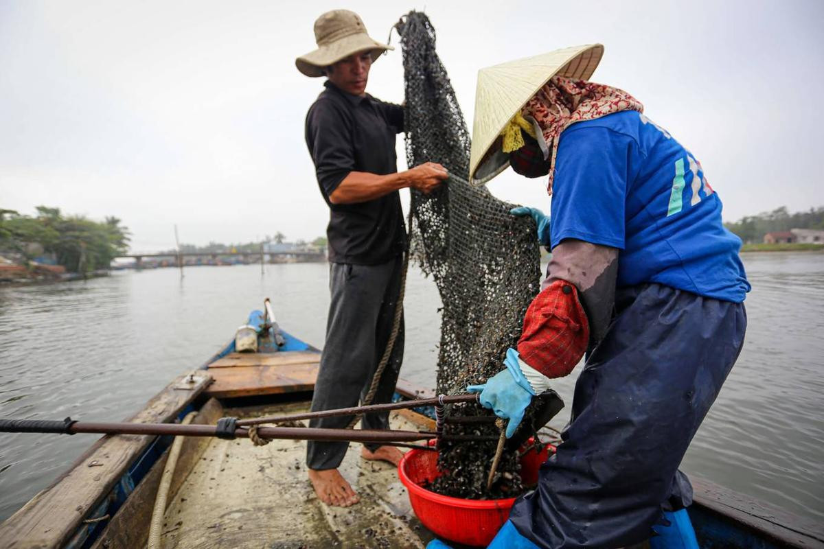 Cào sò thu tiền triệu