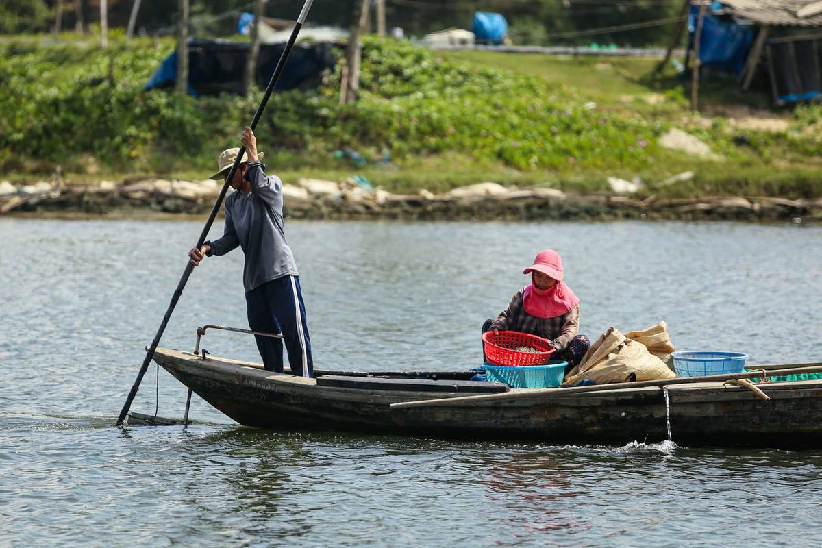 Cào sò thu tiền triệu