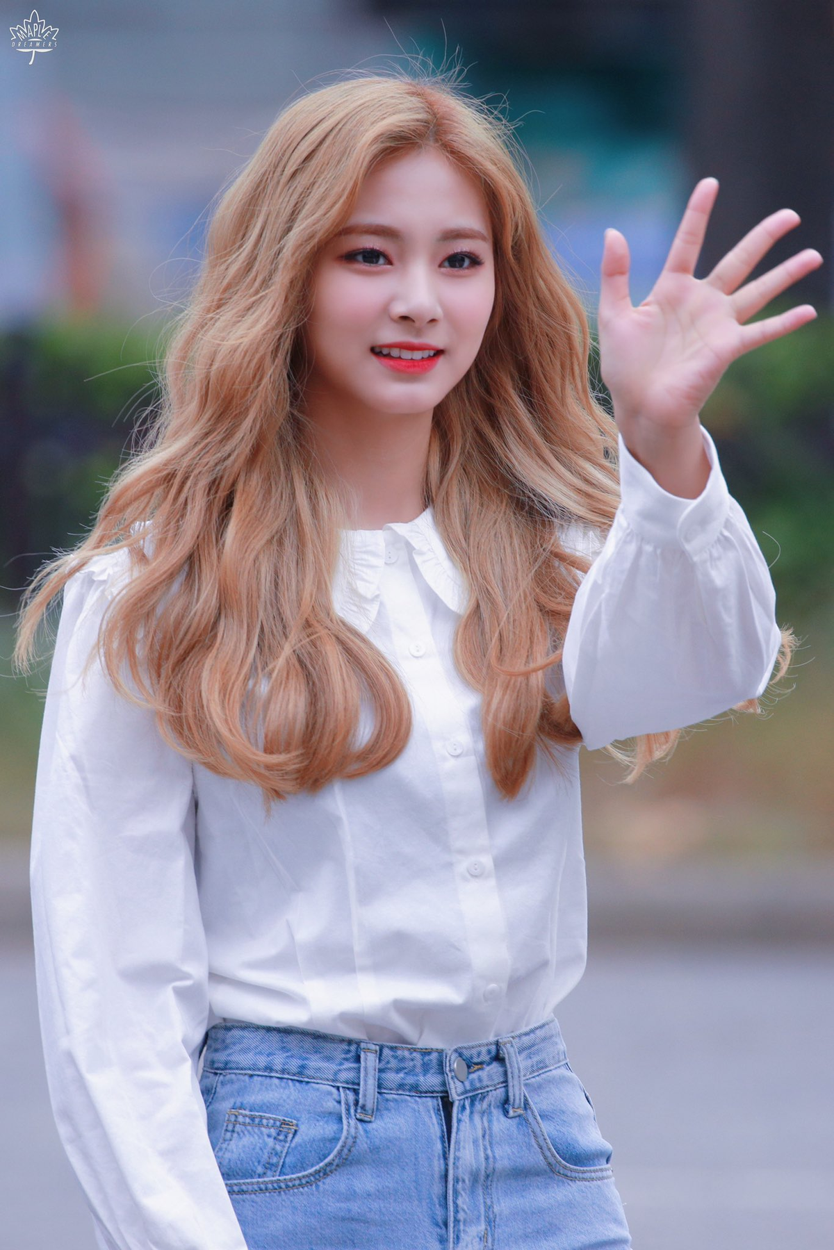 Thực hư chuyện Tzuyu (Twice) bị fan Trung đả kích khi chỉ quyên góp cho mỗi Hàn Quốc giữa thời điểm Covid-19 hoành hành? Ảnh 2