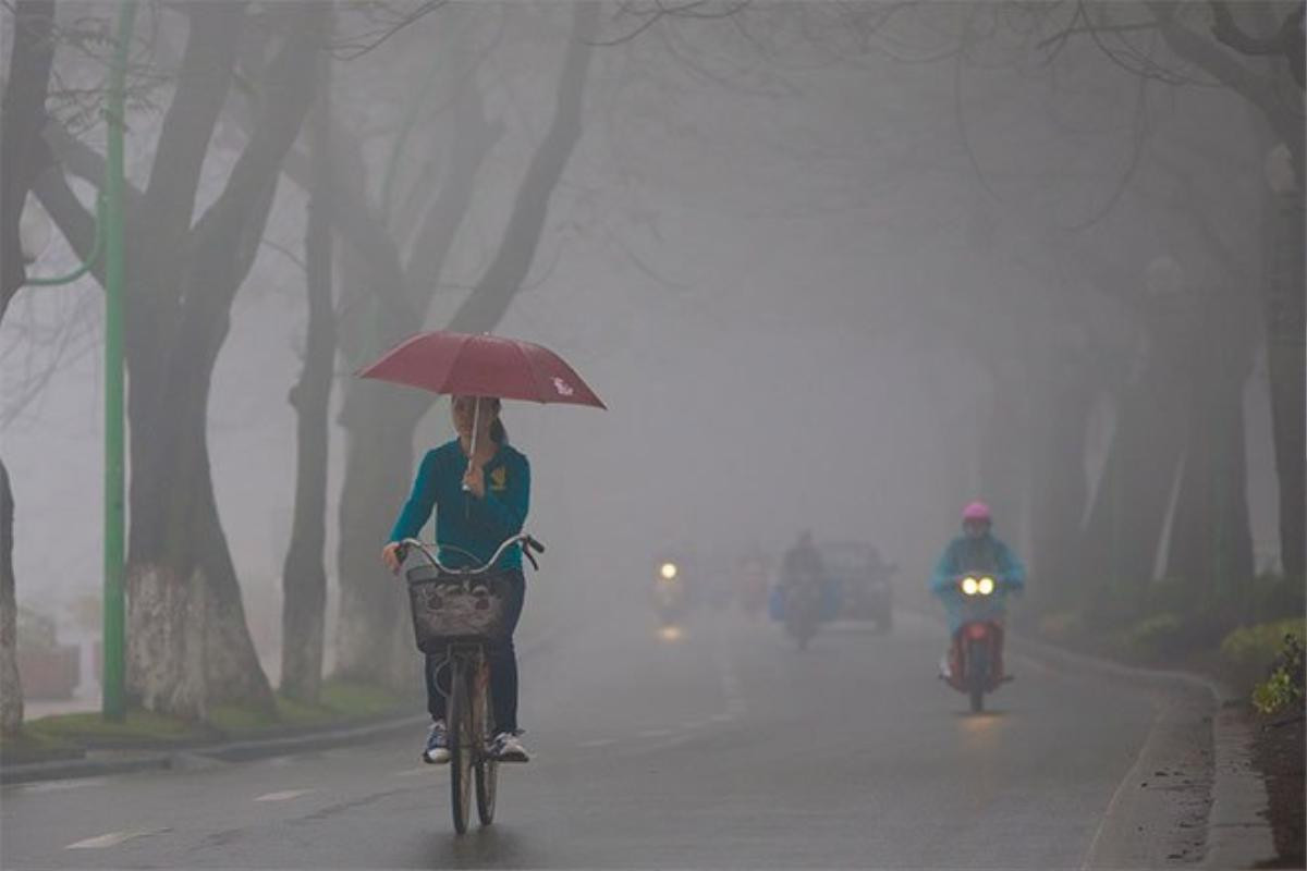 Dự báo thời tiết hôm nay (2/3): Bắc bộ sáng sớm trời sương mù, đêm có mưa vài nơi Ảnh 1