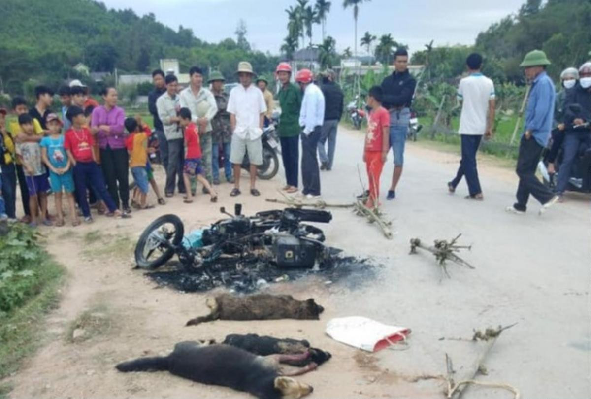 Khởi tố vụ án hai thanh niên nghi trộm chó bị đánh thương vong Ảnh 1