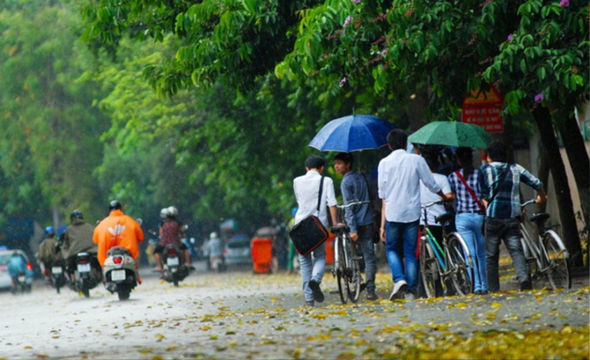 Dự báo thời tiết hôm nay (10/3): Đón không khí lạnh, Bắc bộ giảm nhiệt Ảnh 1