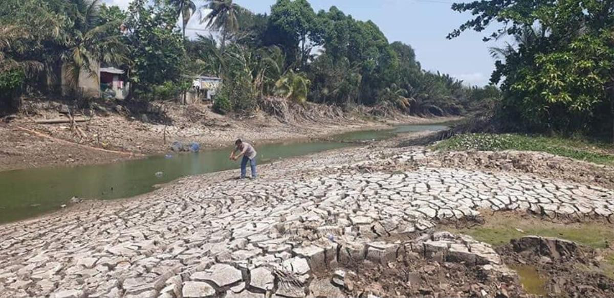 MC Đại Nghĩa kêu gọi ủng hộ giúp đỡ người dân miền Tây ứng phó với hạn mặn Ảnh 6