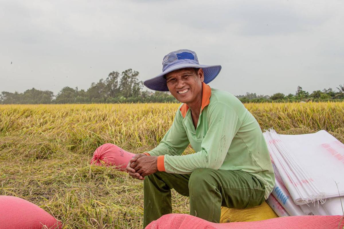 Nông dân miền Tây vào mùa gặt Ảnh 5