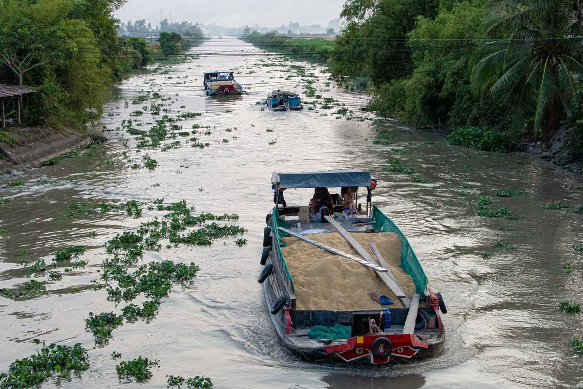 Nông dân miền Tây vào mùa gặt Ảnh 9