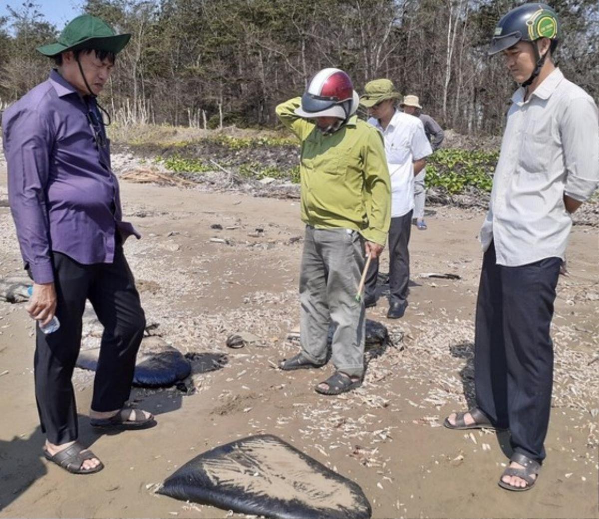 Phát hiện hàng trăm bao tải nghi dầu thô hoặc nhựa đường trôi dạt vào bờ biển Bến Tre Ảnh 2