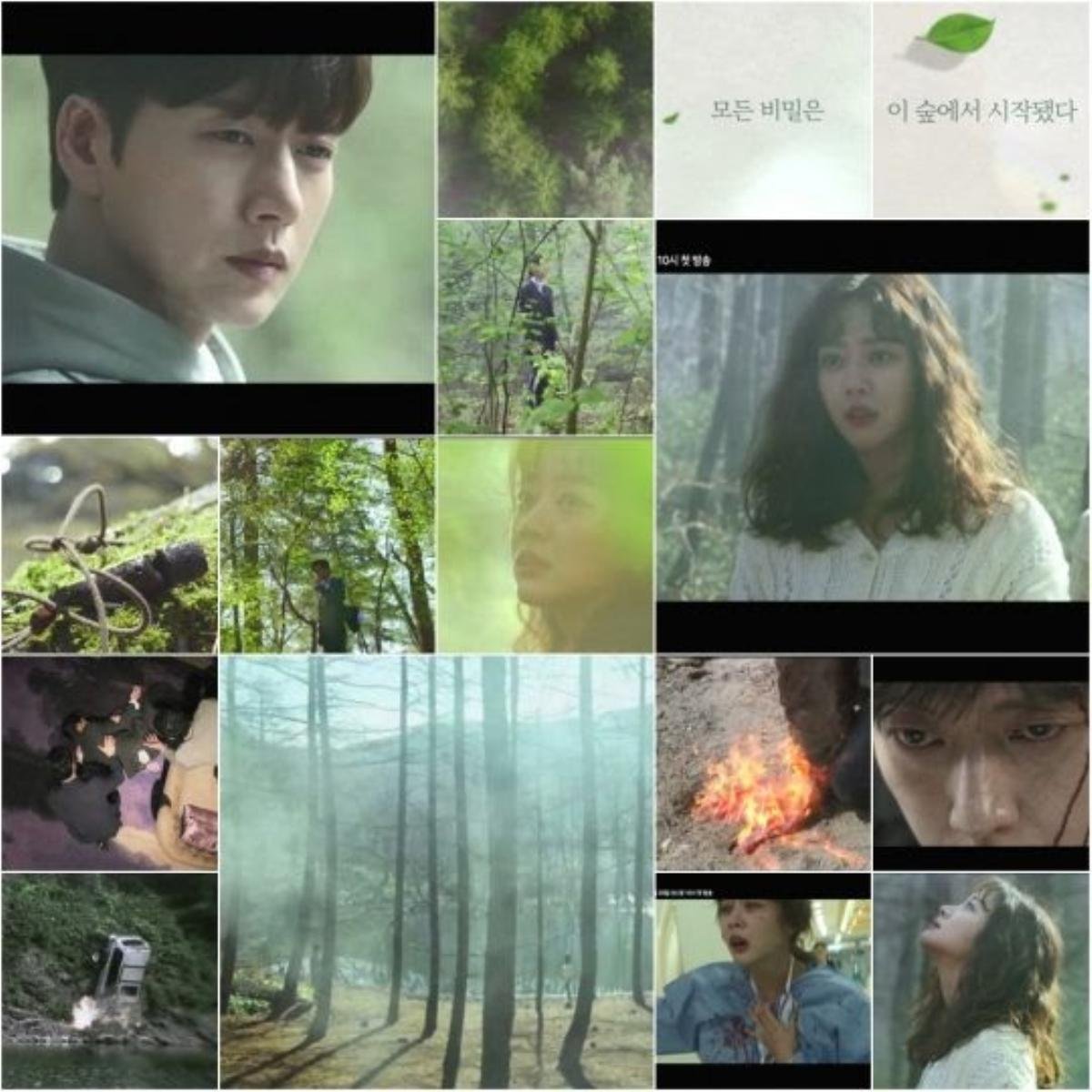 6 lý do khiến bạn đừng nên bỏ lỡ 'Forest' của Park Hae Jin và Jo Bo Ah Ảnh 3