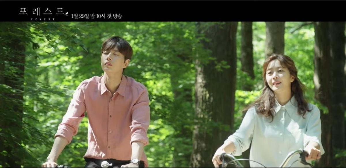 6 lý do khiến bạn đừng nên bỏ lỡ 'Forest' của Park Hae Jin và Jo Bo Ah Ảnh 2