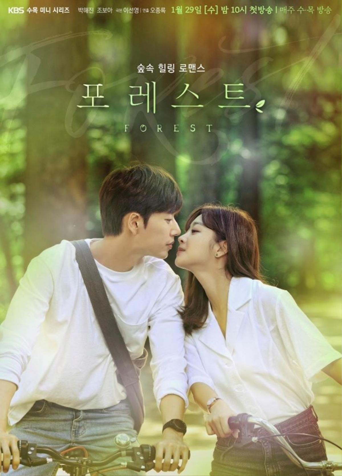 6 lý do khiến bạn đừng nên bỏ lỡ 'Forest' của Park Hae Jin và Jo Bo Ah Ảnh 1