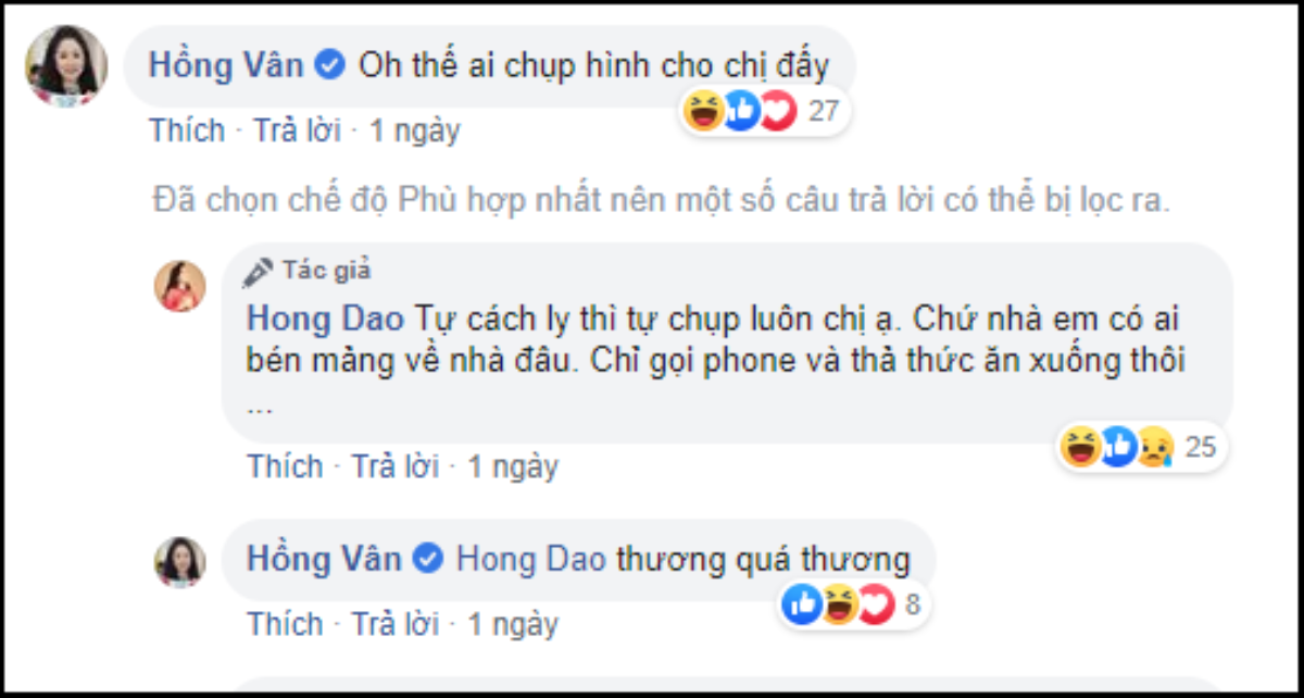 Nghệ sĩ Hồng Đào tự cách ly tại Mỹ, tiết lộ gia đình đã rời đi, chỉ gọi điện và tiếp tế thức ăn Ảnh 2