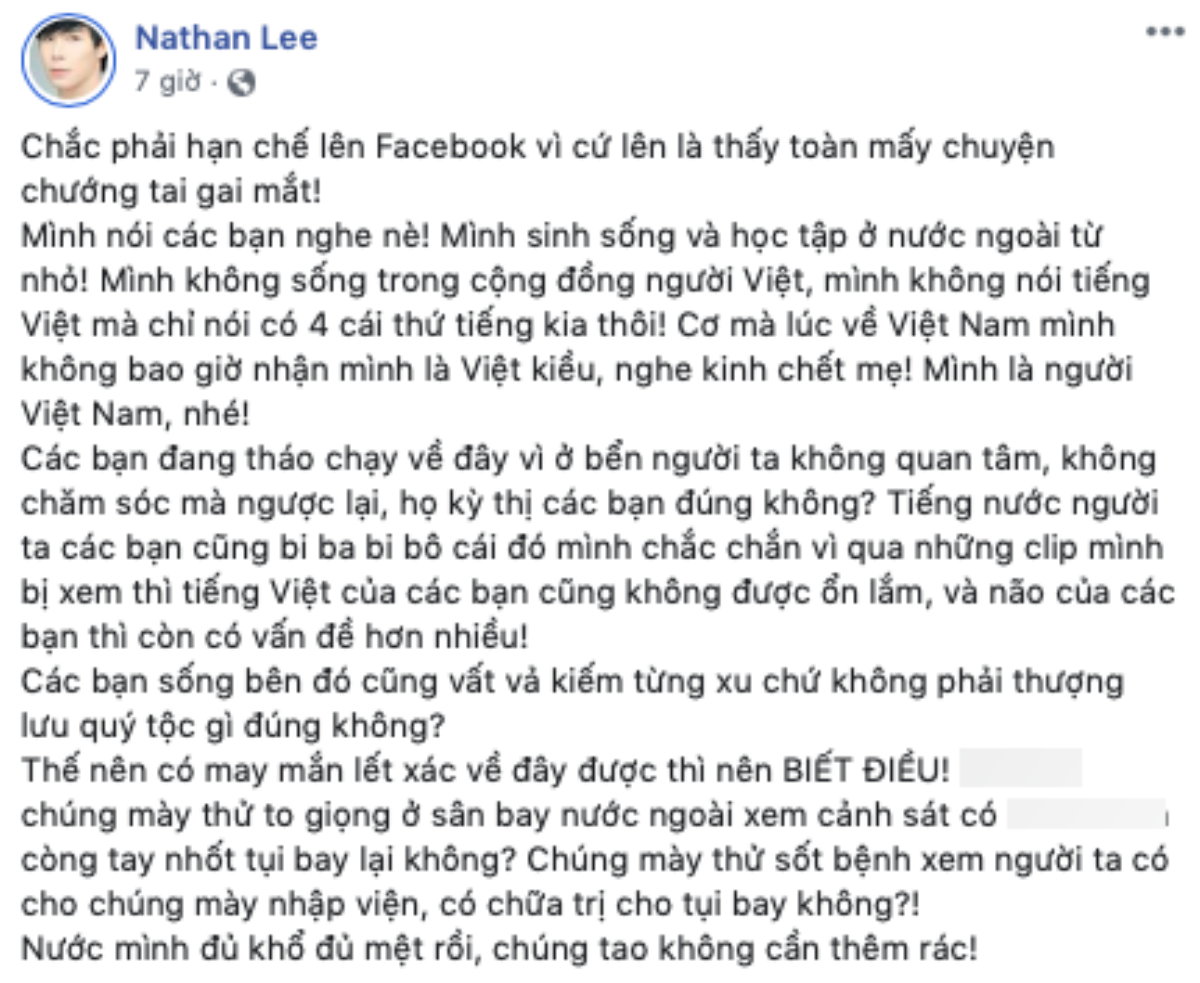 Nathan Lee khẳng định: 'Tôi chưa bao giờ nhận mình là Việt Kiều khi về nước' Ảnh 1