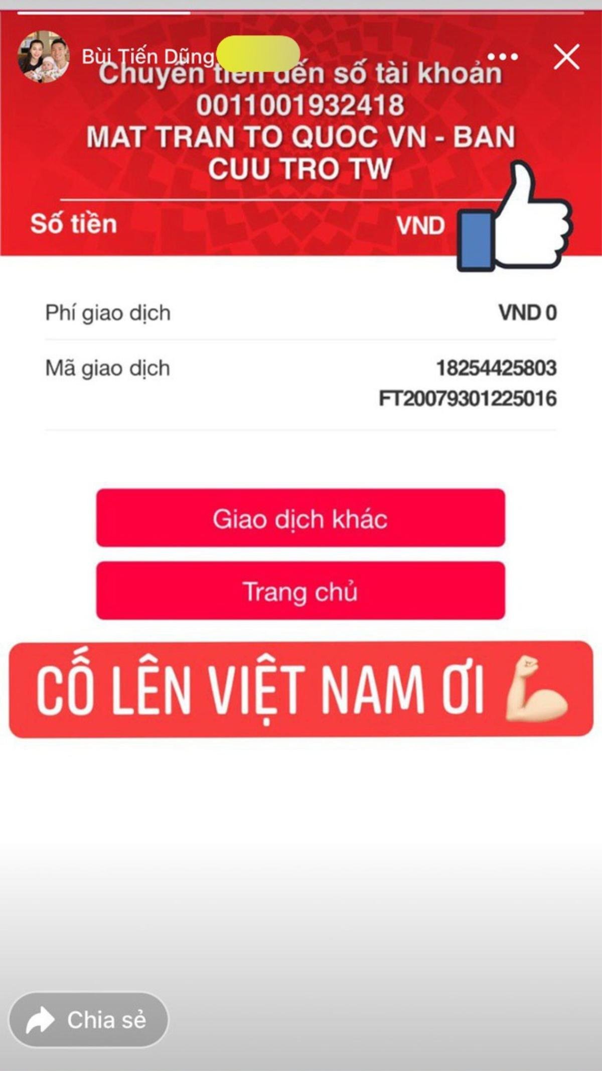 Đan Trường, Minh Tú, Ngân Anh quyên góp ủng hộ quỹ phòng chống Covid-19 Ảnh 7