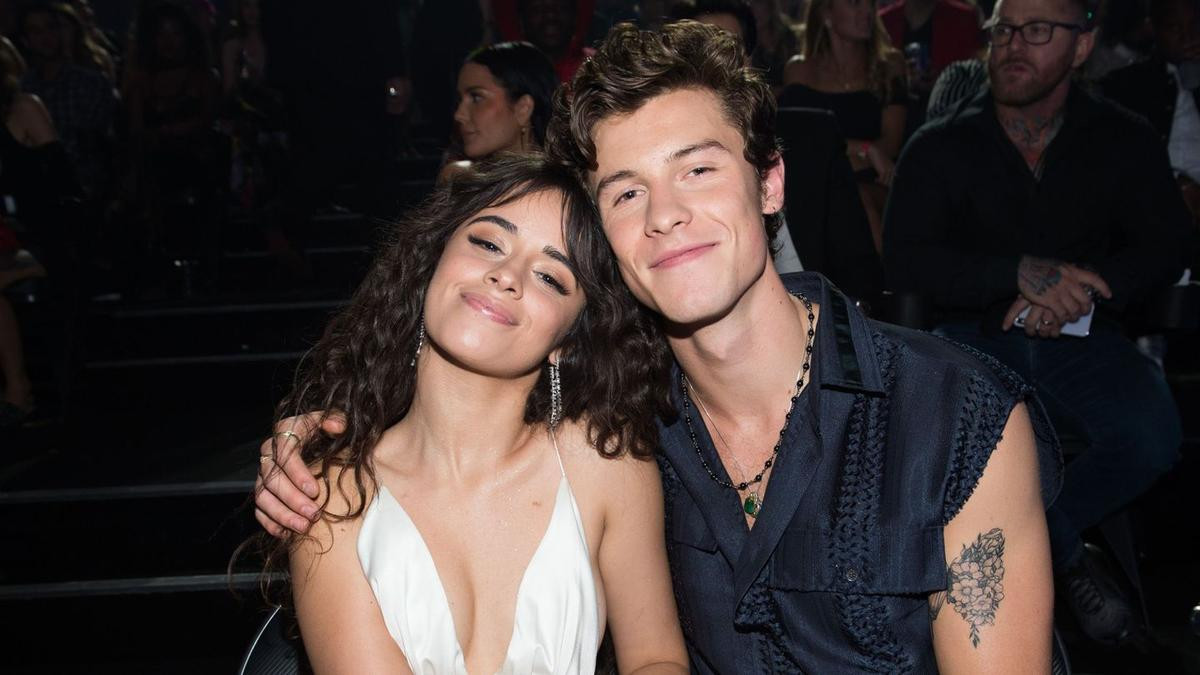 Camila Cabello và Shawn Mendes mở concert tại gia khuyến khích fan tự cách ly, cùng loạt sao phòng chống COVID-19 Ảnh 1