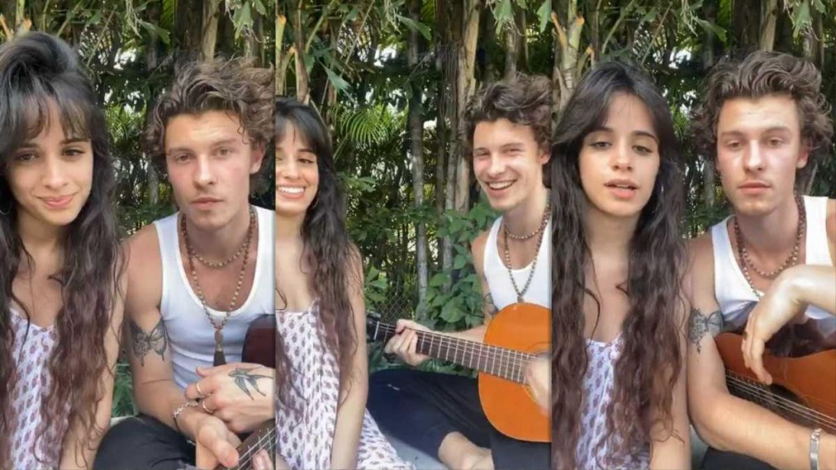 Camila Cabello và Shawn Mendes mở concert tại gia khuyến khích fan tự cách ly, cùng loạt sao phòng chống COVID-19 Ảnh 2