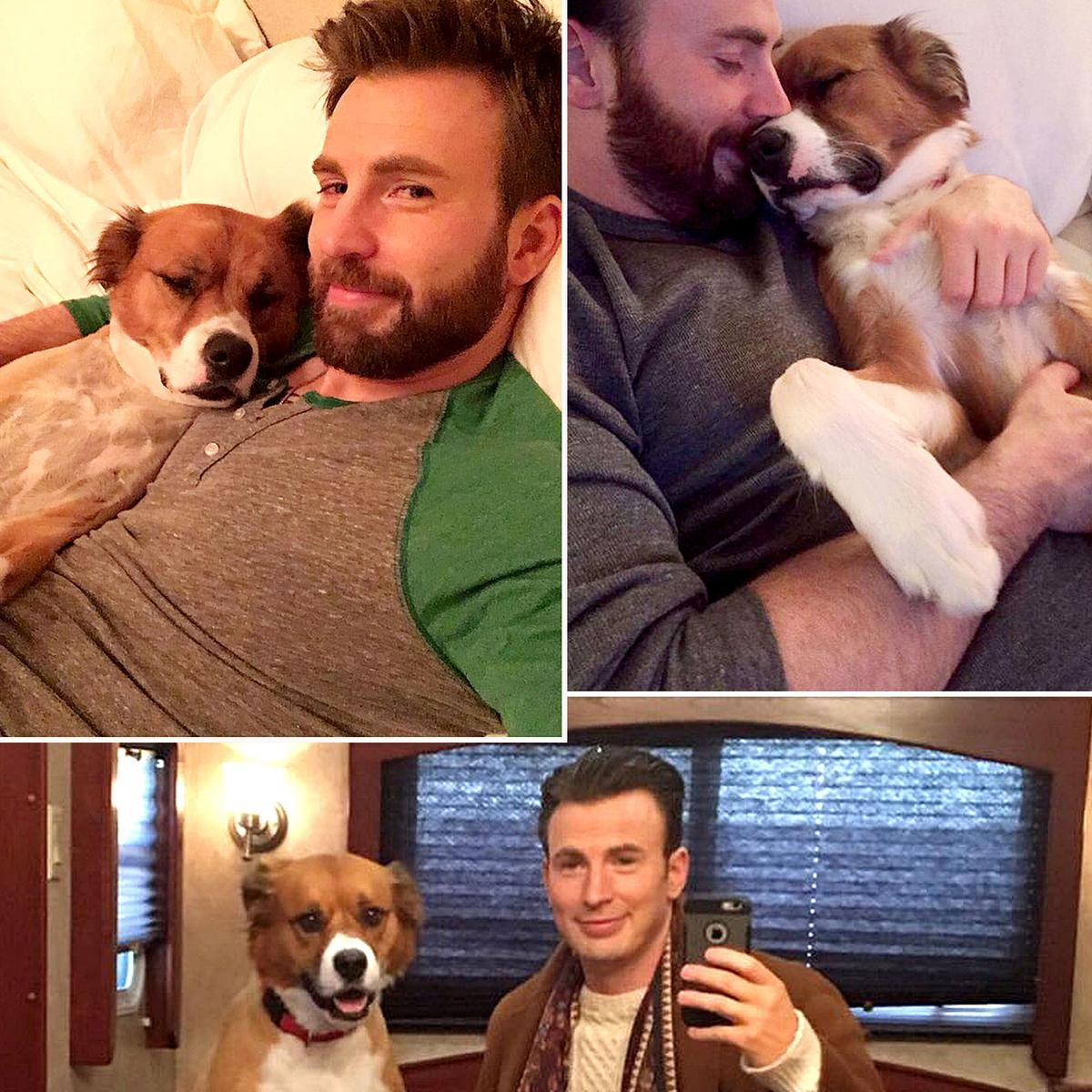 Chris Evans nhắc nhở mọi người ở nhà giữa tâm dịch COVID-19: Ngoài chăn là bão tố! Ảnh 3