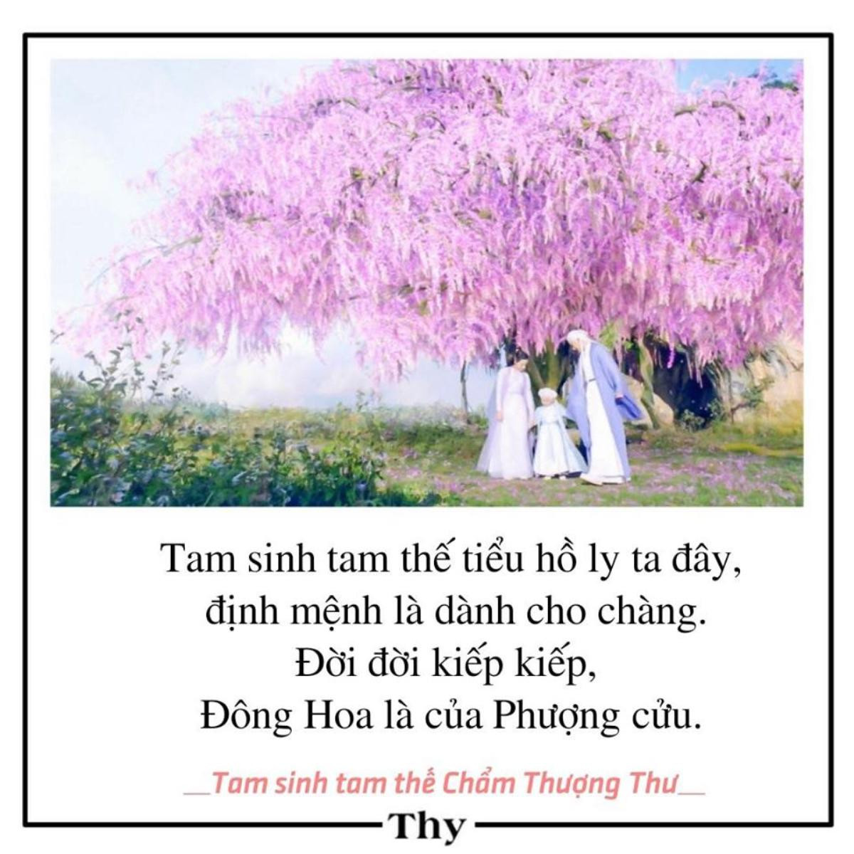 Kết thúc Tam sinh tam thế: Chẩm thượng thư: Netizen Việt vẫn bình chọn cho phim không ngừng - dự án đạt ngưỡng 6,5 tỉ lượt xem Ảnh 14