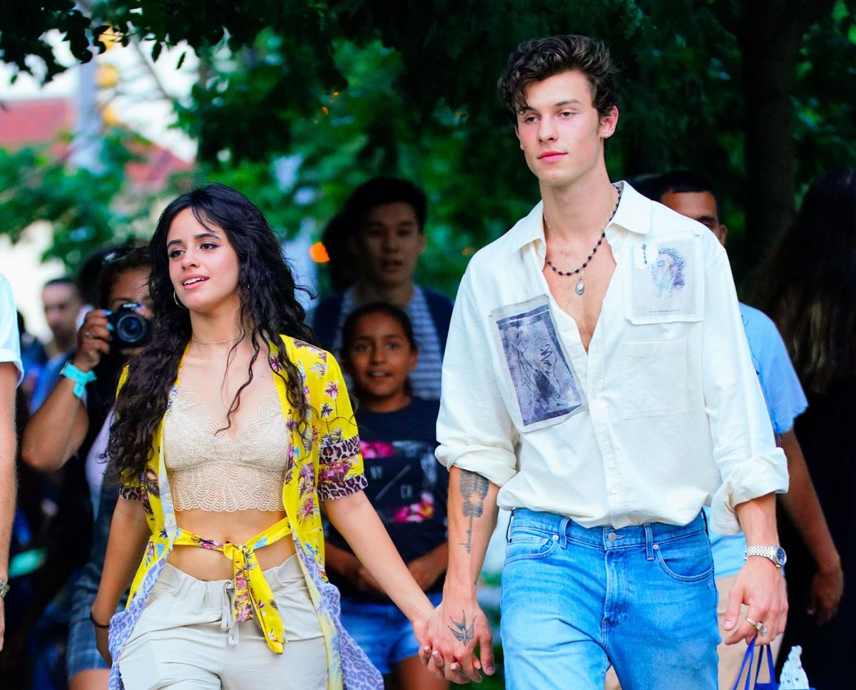 Vô tư dạo phố giữa thời điểm bùng nổ của dịch NCovid-19, Shawn Mendes và Camila Cabello bị dân mạng ném đá không thương tiếc Ảnh 6