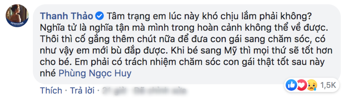 Cư dân mạng 'ném đá' Thanh Thảo vì khuyên Phùng Ngọc Huy mang con sang Mỹ: Ngô Kiến Huy bất ngờ bị 'réo tên' Ảnh 1