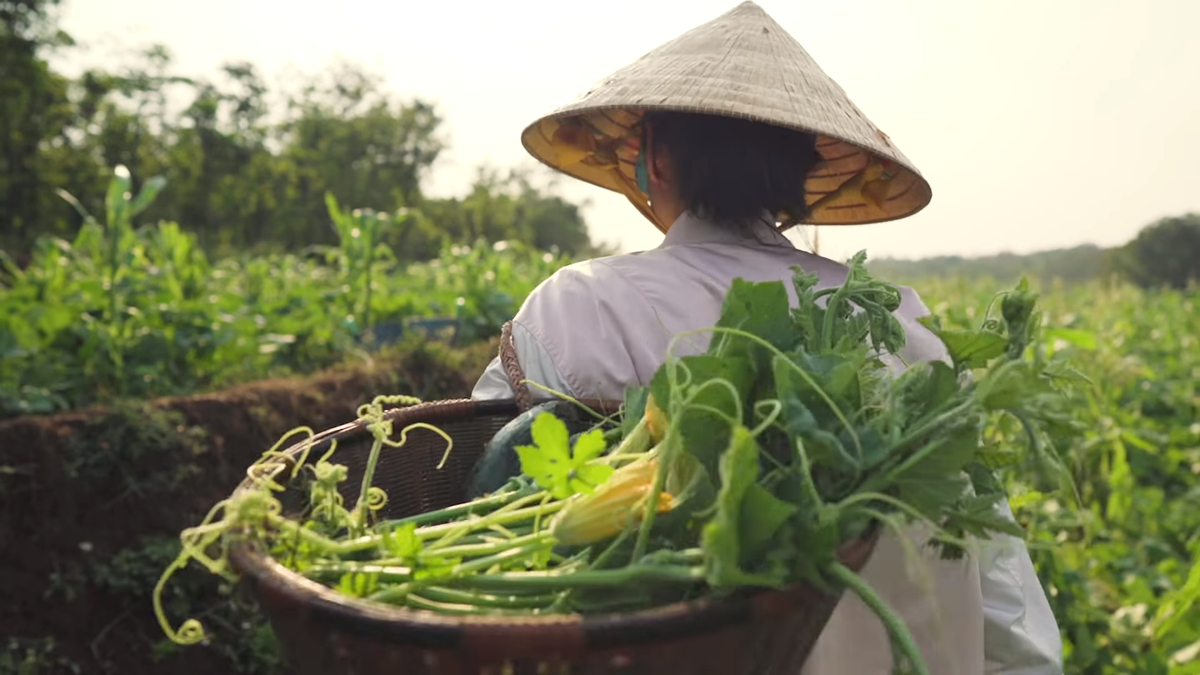 Cười ngất hình ảnh H'Hen Niê ôm buồng chuối làm đàn guitar, văn nghệ 'sương sương' mùa tránh dịch Ảnh 5