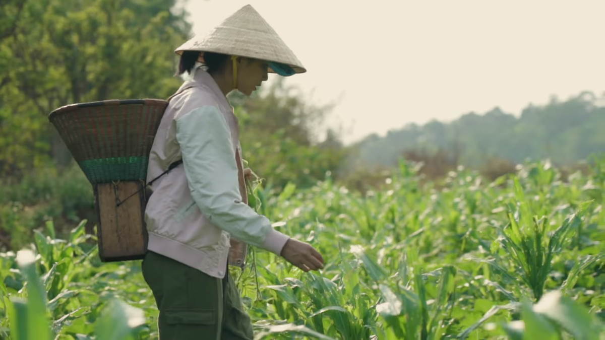 Cười ngất hình ảnh H'Hen Niê ôm buồng chuối làm đàn guitar, văn nghệ 'sương sương' mùa tránh dịch Ảnh 3