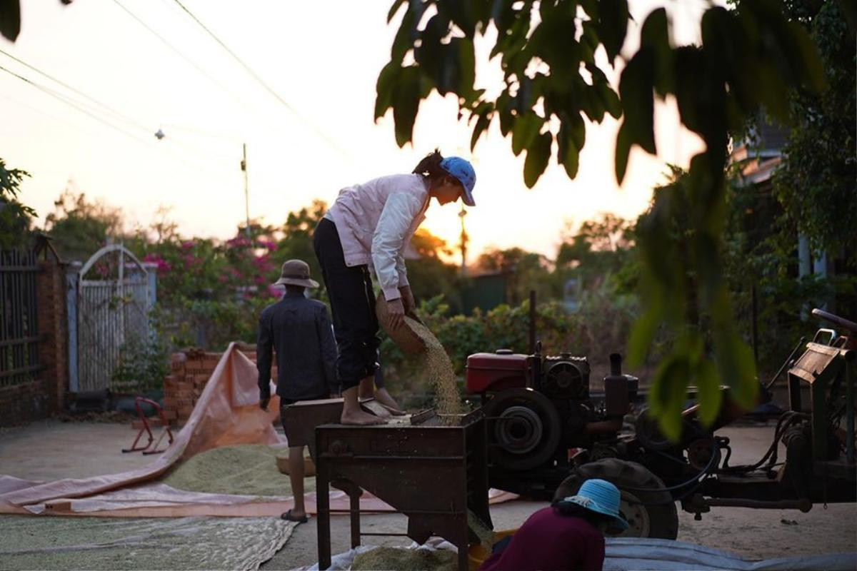 Về quê làm vườn, H'Hen Niê duyên dáng thừa nhận: 'Hen điên quá nên ế, làm hoa hậu mới có người vớt' Ảnh 11