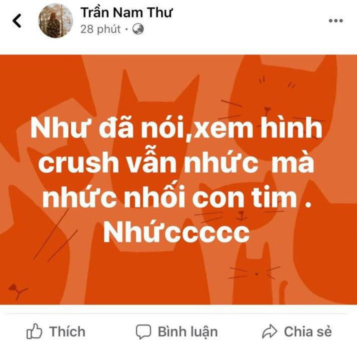 Trang cá nhân ngập tràn mùi yêu thương, phải chăng Nam Thư đang 'thầm thương trộm nhớ' chàng trai nào đó? Ảnh 4