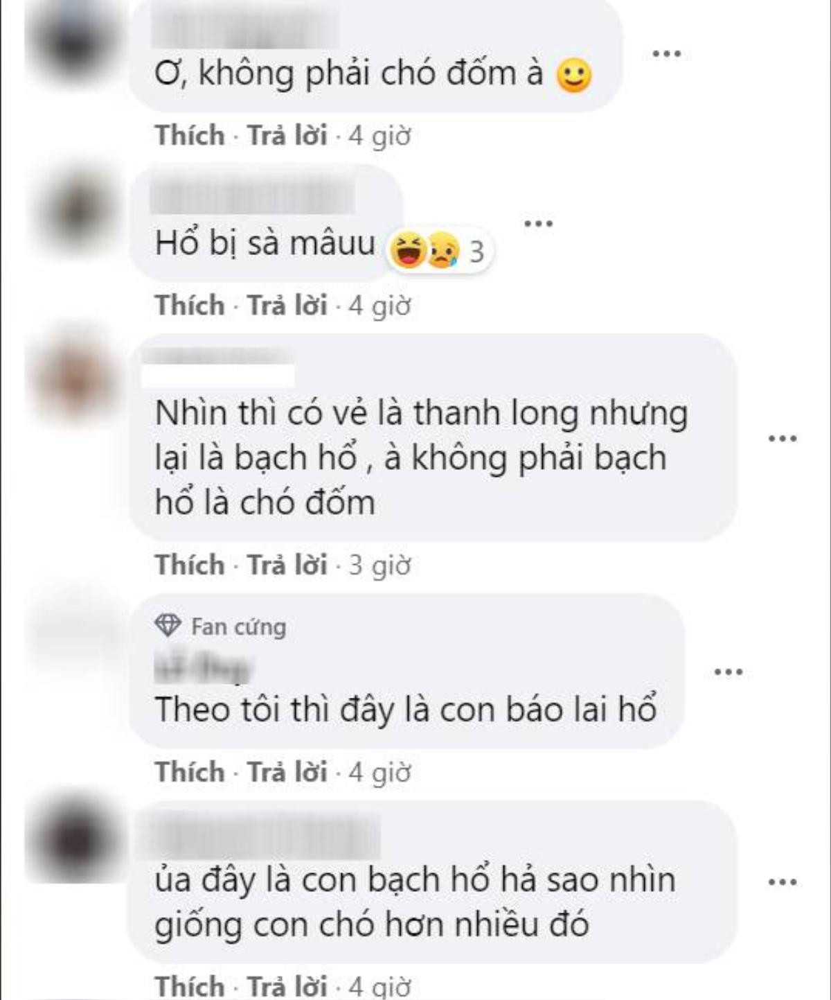 Chán trò đếm hạt thanh long, nam sinh chuyển sang 'điêu khắc' bạch hổ nhưng phản ứng của cư dân mạng mới là điều đáng chú ý Ảnh 3