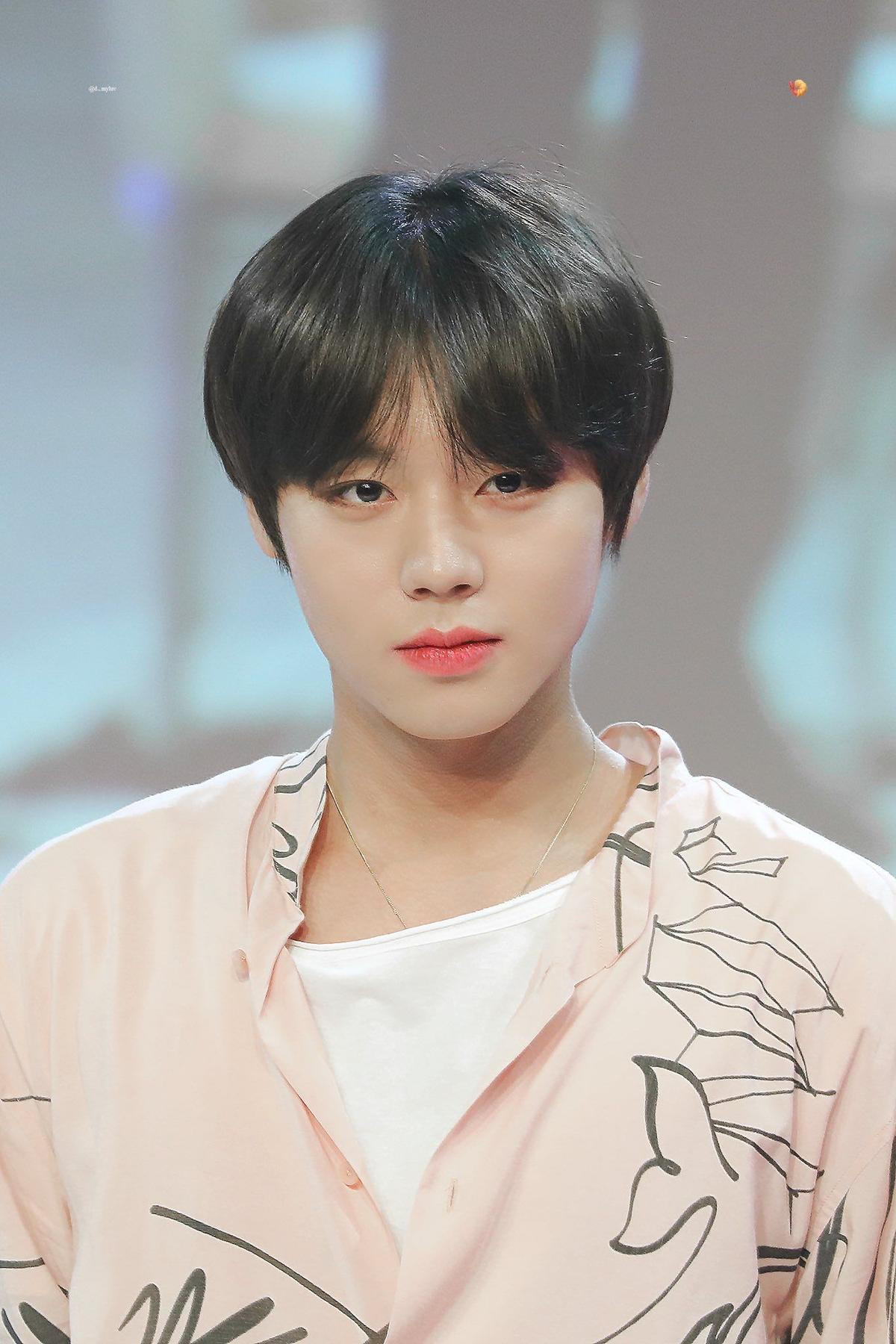 Park Ji Hoon (Wanna One) đóng drama học đường, 7 ứng cử vai nữ chính: Kim So Hyun hay Jin Ji Hee? Ảnh 2