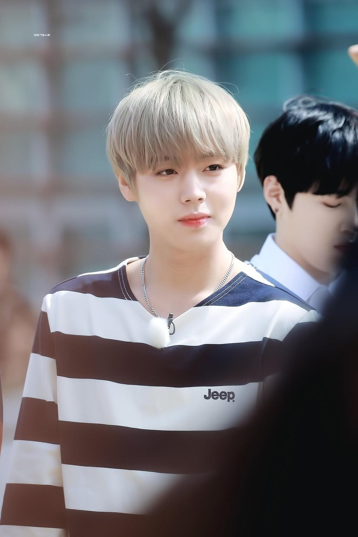 Park Ji Hoon (Wanna One) đóng drama học đường, 7 ứng cử vai nữ chính: Kim So Hyun hay Jin Ji Hee? Ảnh 5