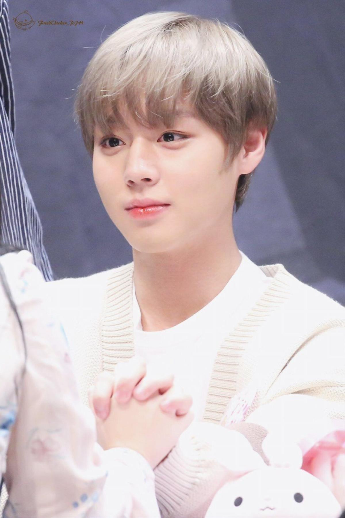 Park Ji Hoon (Wanna One) đóng drama học đường, 7 ứng cử vai nữ chính: Kim So Hyun hay Jin Ji Hee? Ảnh 1