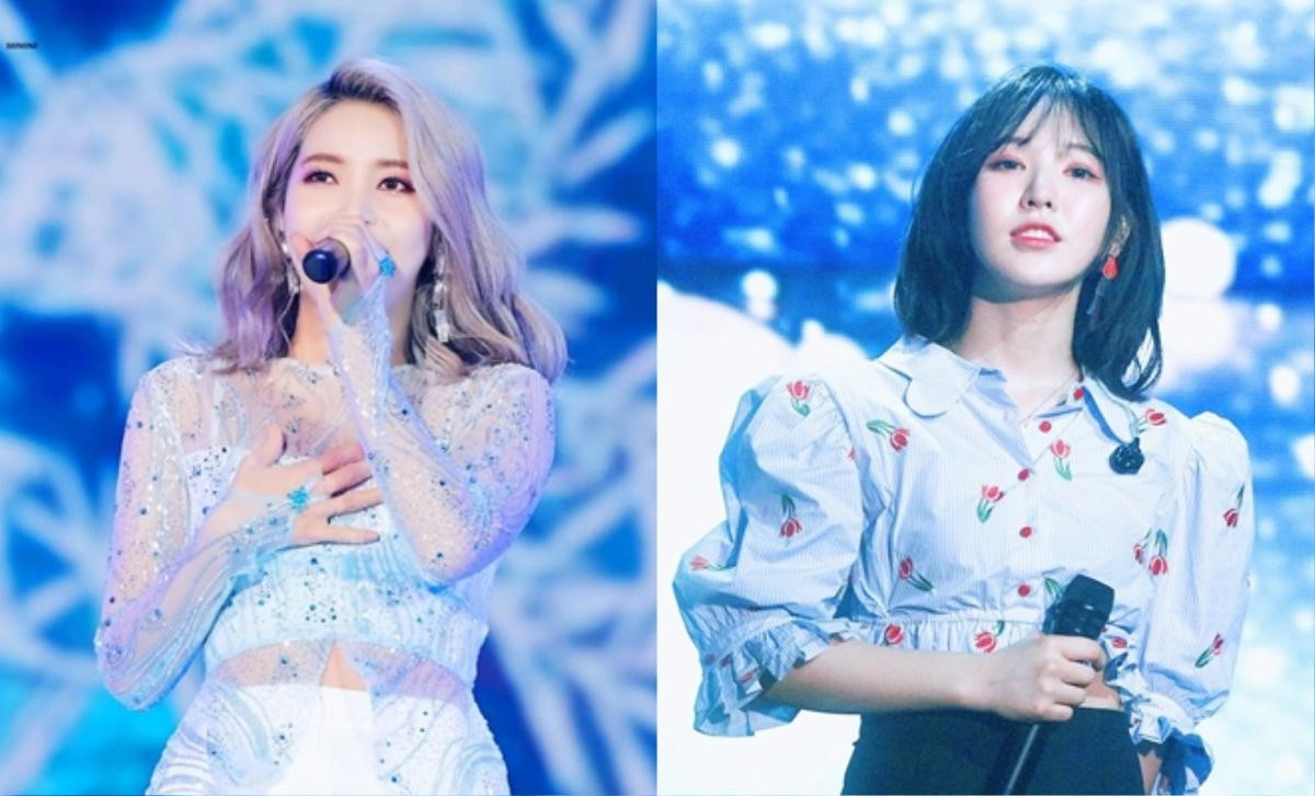 #ThankYouSolar và #ApologizeToWendy phủ kín Twitter: Hóa ra đây là người phát hiện tai nạn của Wendy đầu tiên tại SBS Gayo 2019 Ảnh 1