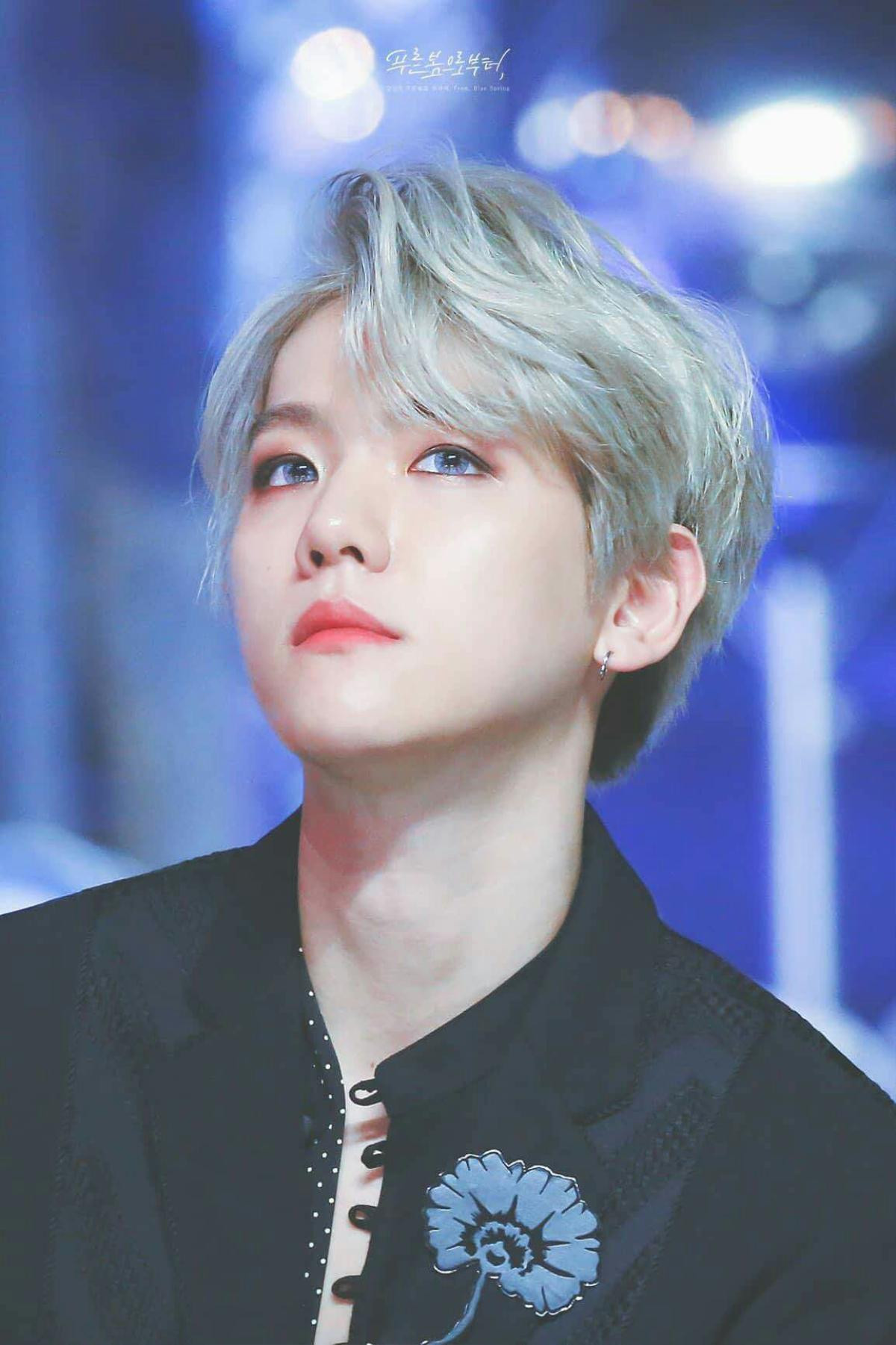 Baekhyun (EXO) trở thành idol Kpop solo được đề cập nhiều nhất trên Twitter 2020 Ảnh 4