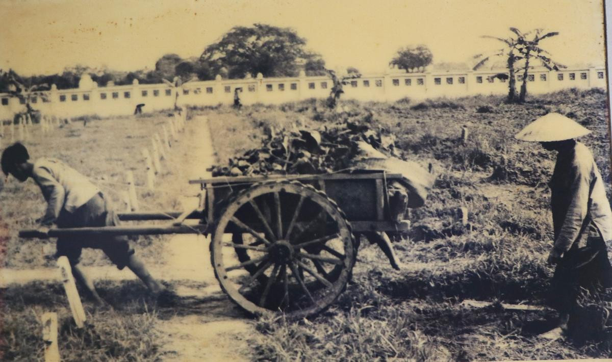 Người 15 năm trông ngôi mộ tập thể lớn nhất Việt Nam chết vì nạn đói năm 1945: 'Đây là việc tâm linh nên tôi muốn làm sao cho trọn vẹn' Ảnh 5