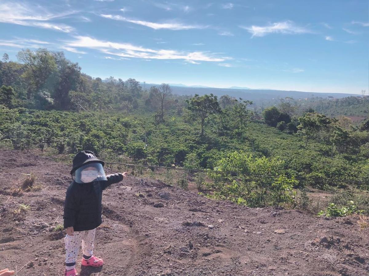 'Em bé phượt thủ' vượt gần 400 km du lịch cùng bố mẹ 'đốn tim' dân mạng vì vẻ đáng yêu khó cưỡng Ảnh 6