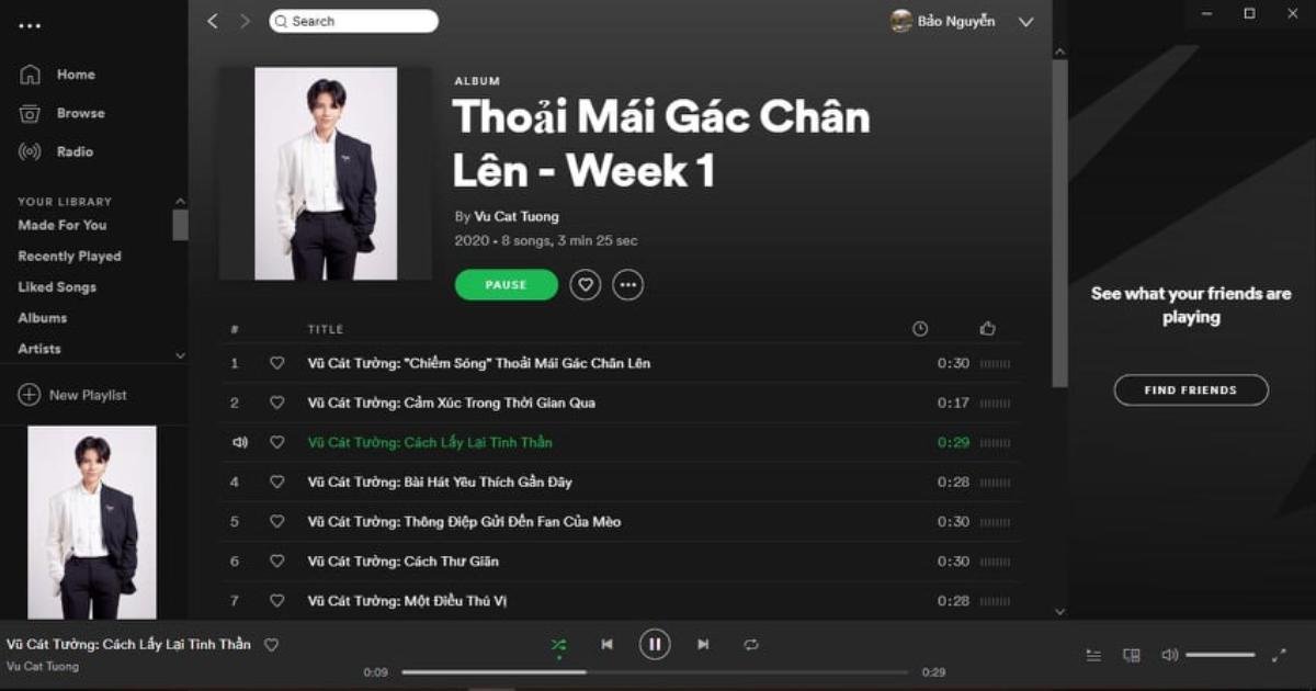 Playlist này sẽ được chính Vũ Cát Tường cập nhật thường xuyên.