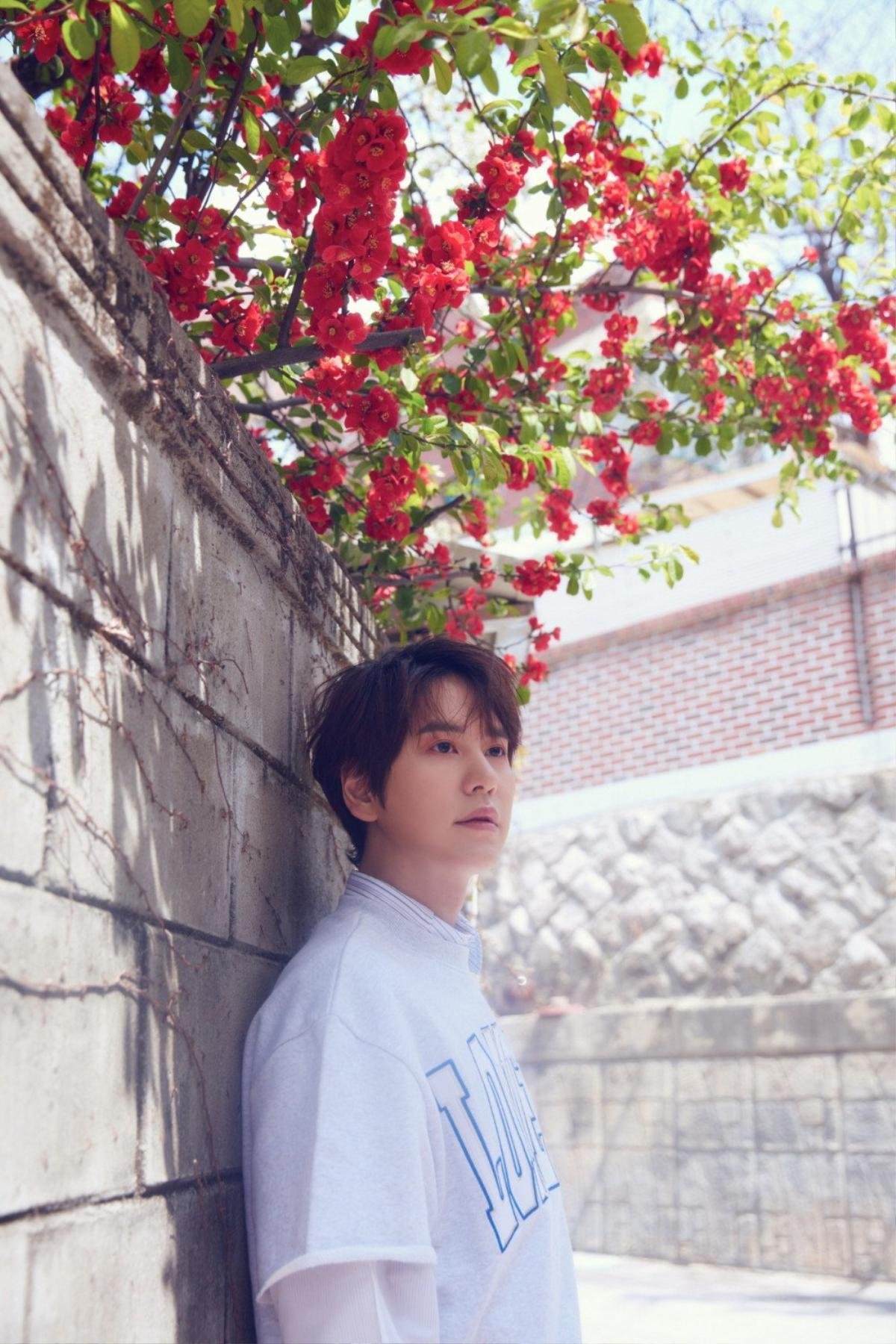 Kyuhyun (Super Junior) tung loạt ảnh mới, mở màn cho màn trở lại của K.R.Y. Ảnh 3