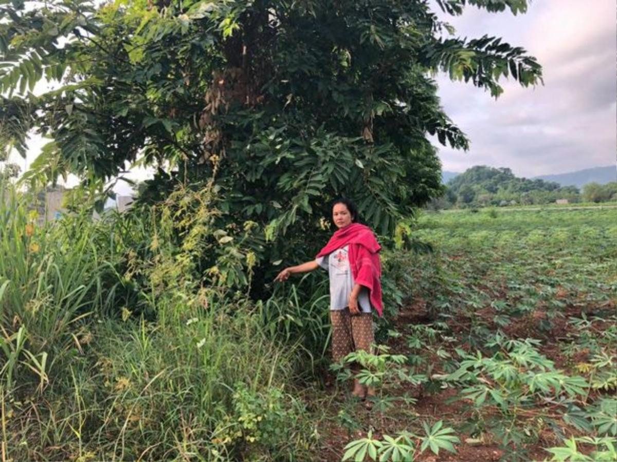 Chị Punyaphat Rakkratok phát hiện một bé gái trong bụi rậm, dưới gốc cây.